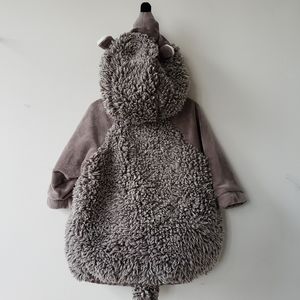 Hedgehog baby costume